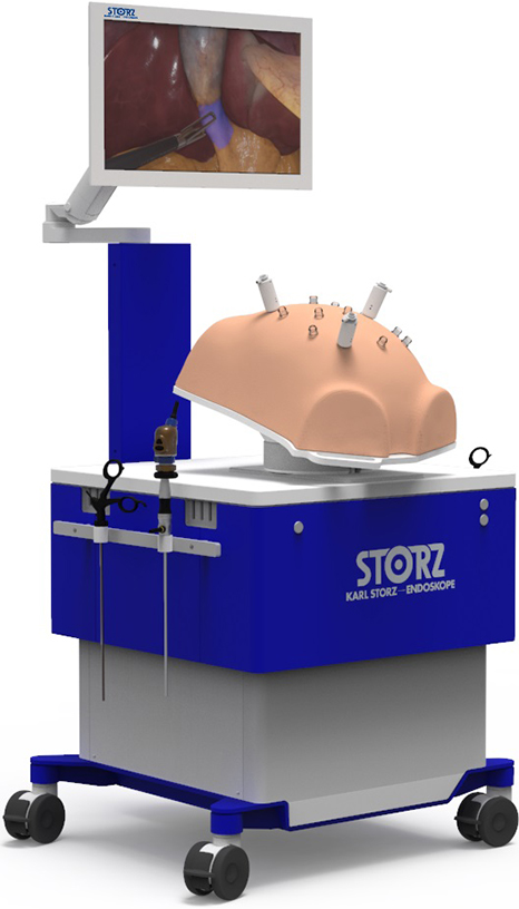 Storz-simulator